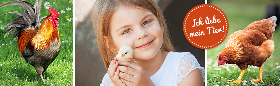 zooprinz H&uuml;hnervoliere Hhnerstall Stall f&uuml;r H&uuml;hner Hahn Freilauf